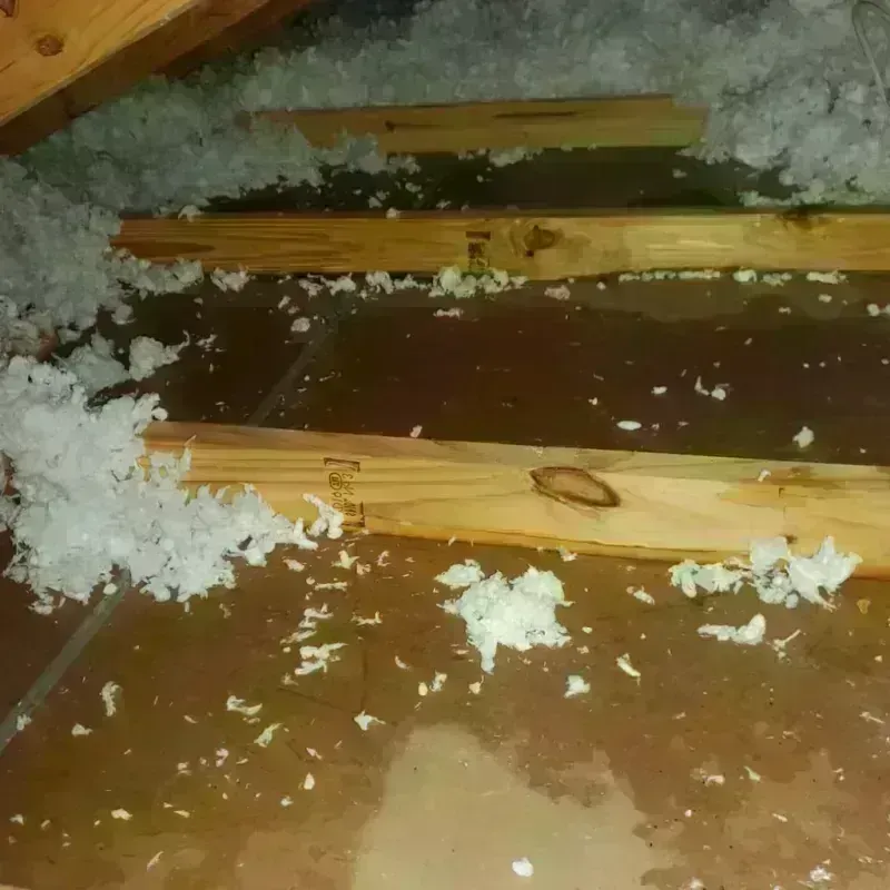 Attic Water Damage in Vernon, TX