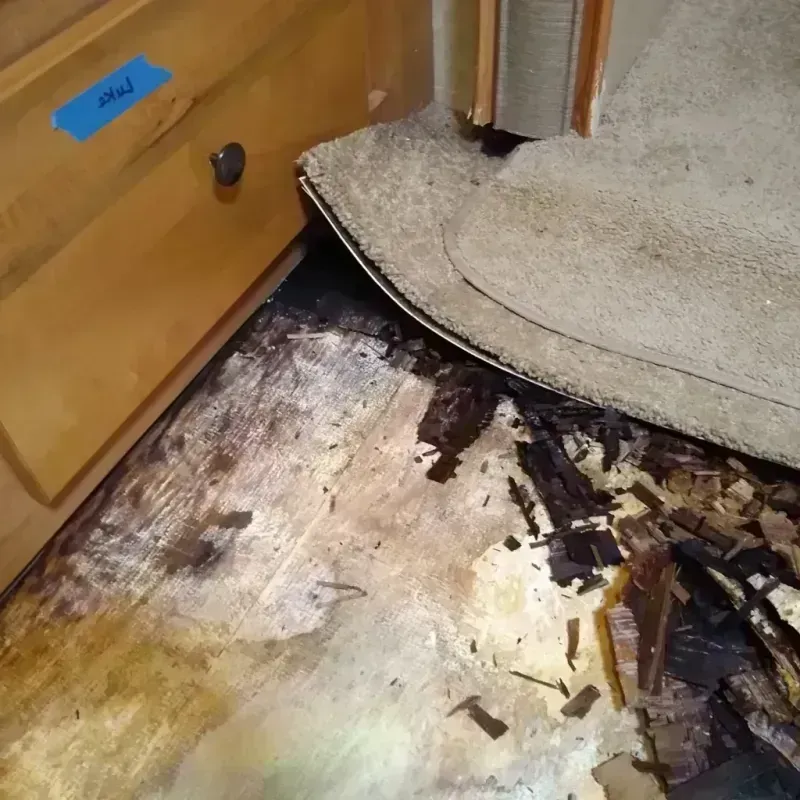 Wood Floor Water Damage in Vernon, TX